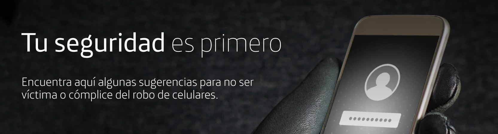 Seguridad